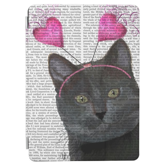 Black Cat Valentines iPad Air Cover (Front)