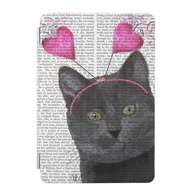 Black Cat Valentines iPad Mini Cover (Front)