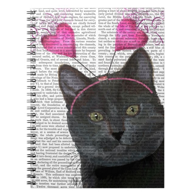 Black Cat Valentines Notebook (Front)