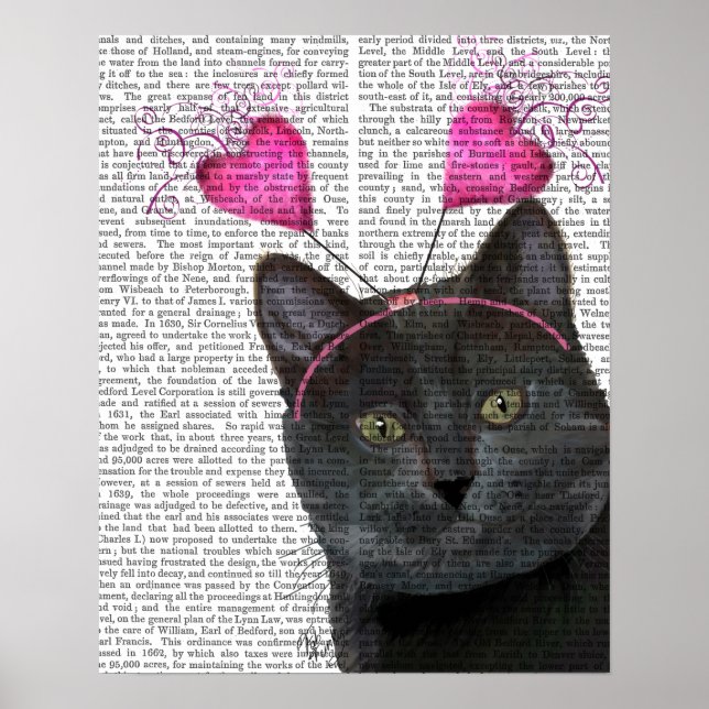 Black Cat Valentines Poster (Front)