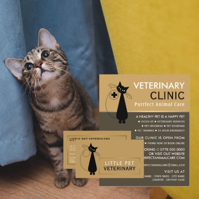 Black Cat, Veterinarian, Veterinary Service Flyer (Creator Uploaded)