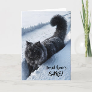 Black Cat Walking In Deep Snow Card