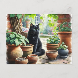 Black Cat Watching Catnip Grow Cute Postcard