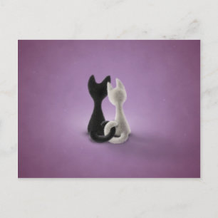 Black Cat White Cat (Color 4) Postcard