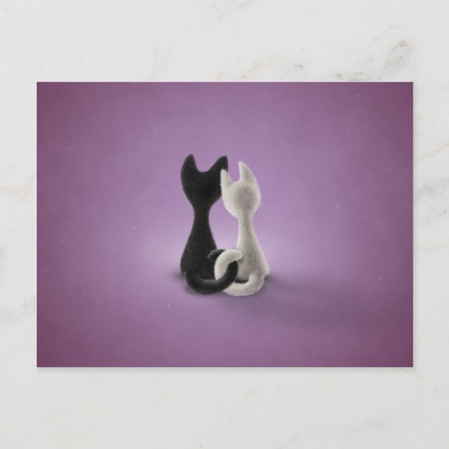 Black Cat White Cat (Color 4) Postcard (Front)