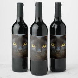 Black cat wine label | Zazzle