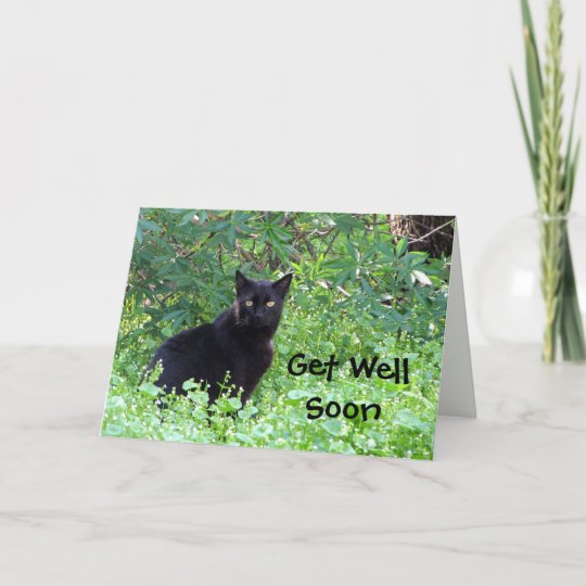 Black Cat Wishes Get Well Soon Card | Zazzle.com