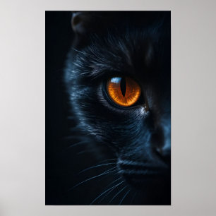Black Cat with Amber Eye Poster