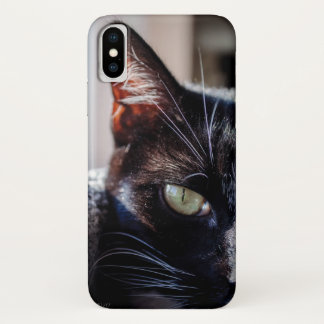 Black Cat with Green Eyes iPhone Case