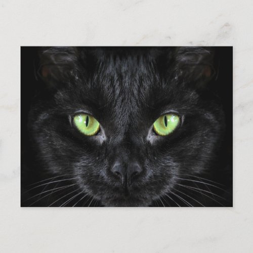 Black Cat with Green Eyes Postcard