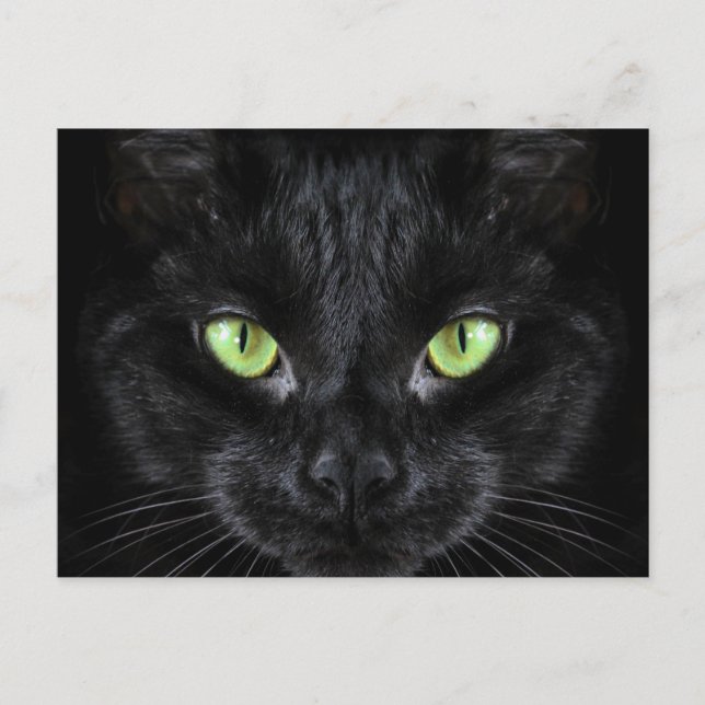 Black Cat with Green Eyes Postcard (Front)