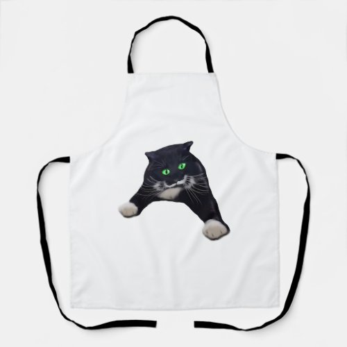 Black cat with green eyes waiting apron