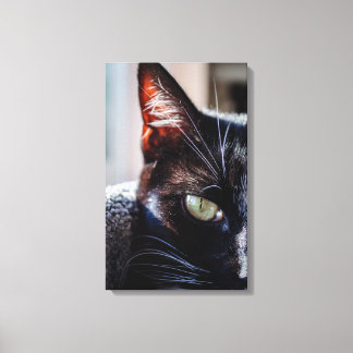 Black Cat with Green Eyes Wrapped Canvas Print