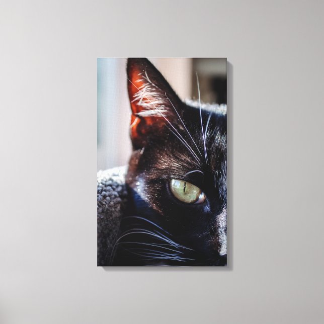 Black Cat with Green Eyes Wrapped Canvas Print (Front)