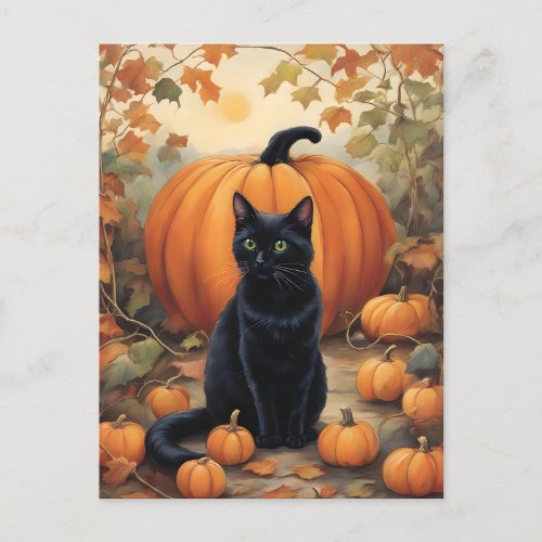 Black Cat with Halloween Pumpkin Postcard