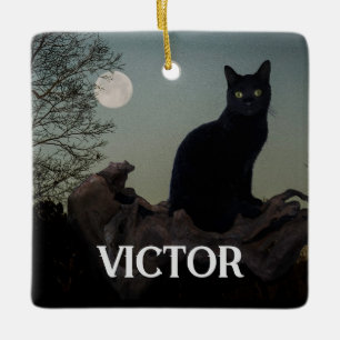 Black Cat with Moon on Tree Limb Ceramic Ornament