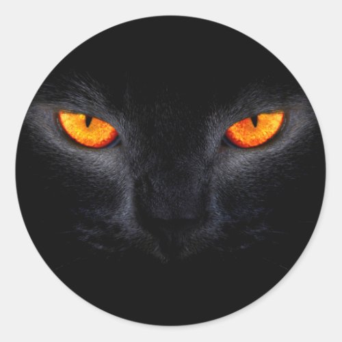 Black Cat with Orange Eyes Classic Round Sticker