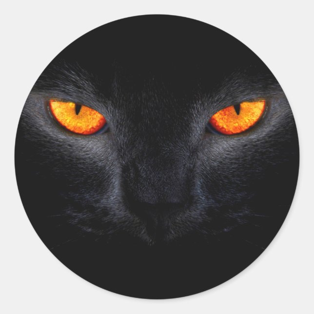 Black Cat with Orange Eyes Classic Round Sticker (Front)