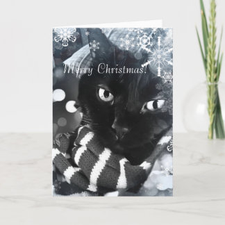 Black Cat with Snowflakes Christmas Card