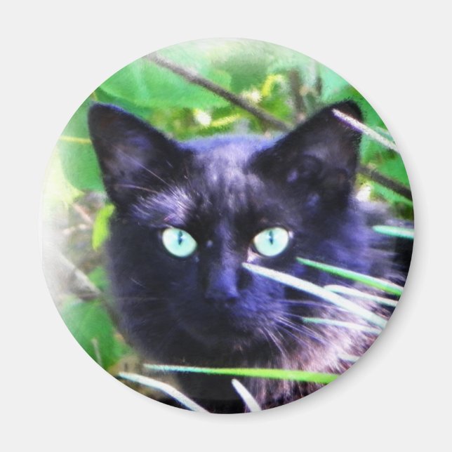 Black cat with striking green eyes magnet (Front)