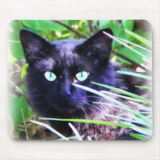 Black cat with striking green eyes mouse pad (Front)