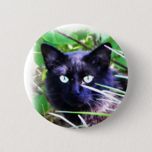 Black cat with striking green eyes pinback button (Front)