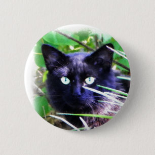 Black cat with striking green eyes pinback button