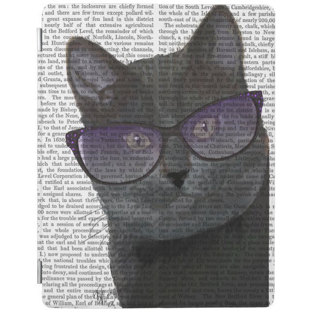 Black Cat with Sunglasses 2 iPad Air Cover (Front)