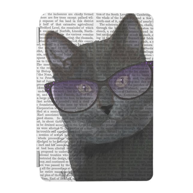 Black Cat with Sunglasses 2 iPad Mini Cover (Front)