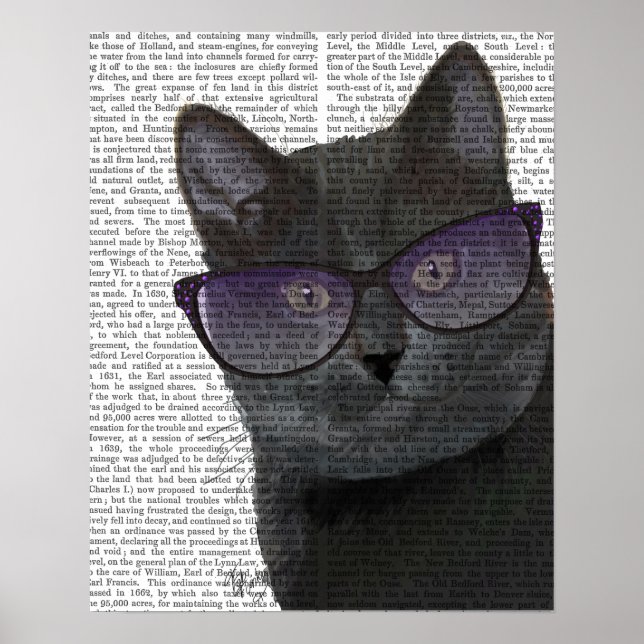 Black Cat with Sunglasses Poster (Front)