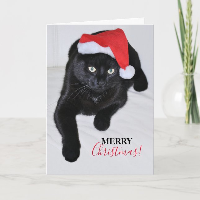 Black Cat with the Red Santa Hat Holiday Card (Front)