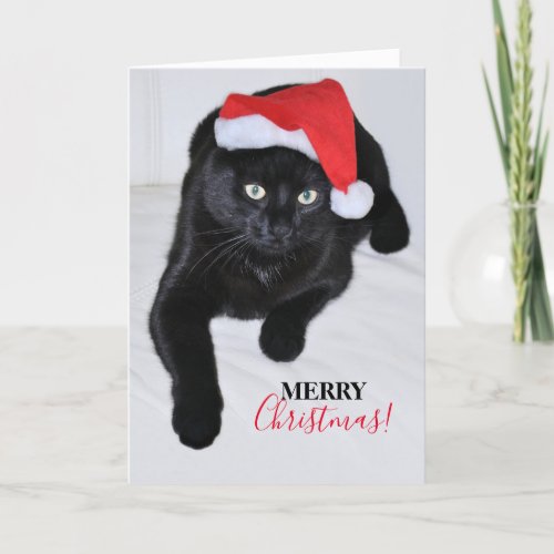 Black Cat with the Red Santa Hat Holiday Card