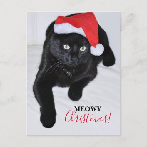 Black Cat with the Red Santa Hat Holiday Postcard