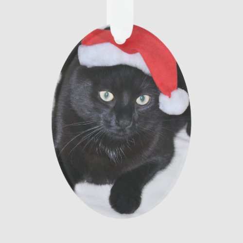 Black Cat with the Red Santa Hat Ornament