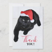 Black Cat with the Red Santa Hat