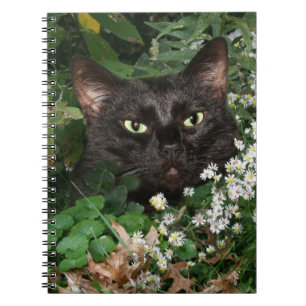 Black cat with wildflowers notebook