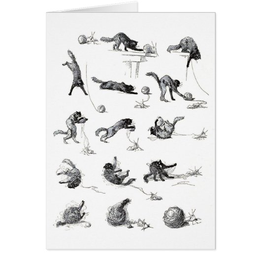 Black cat & Woolen yarn ball, Alexandre Steinlen Cards (Front)