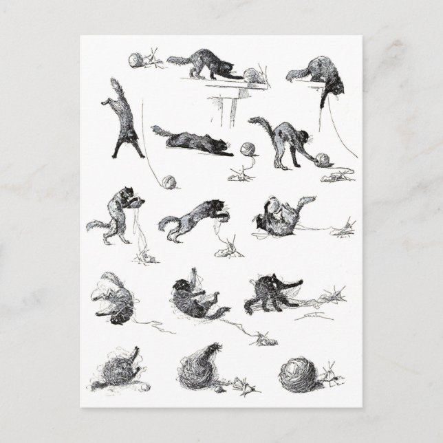 Black cat & Woolen yarn ball, Alexandre Steinlen Postcard (Front)