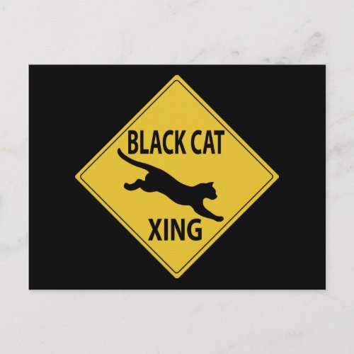 Black Cat Xing Postcard