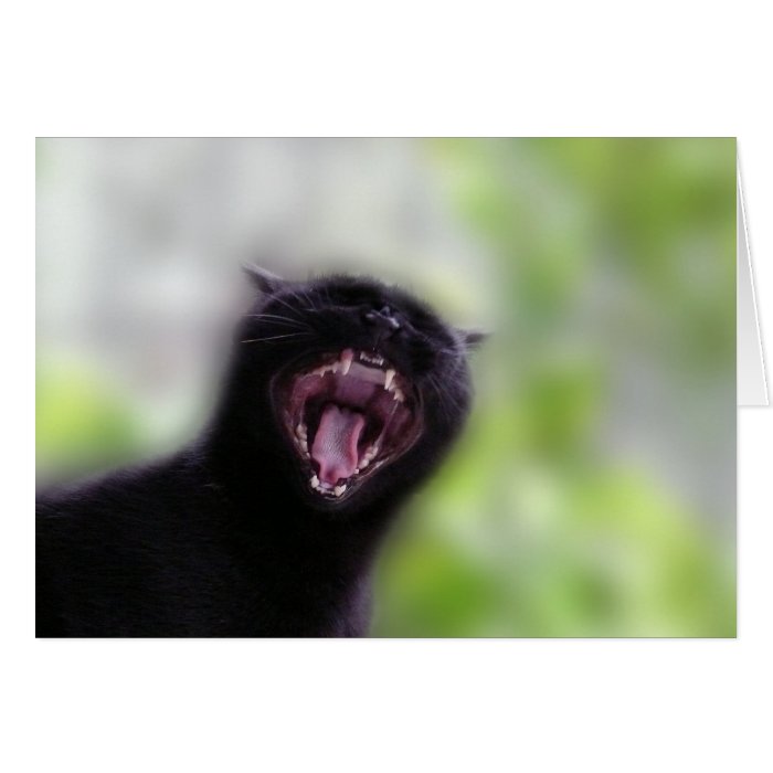 Black Cat Yawning Greeting Card