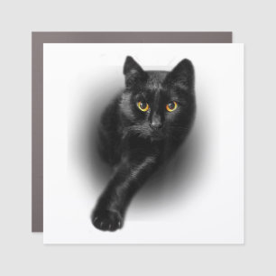 Black Cat Yellow Eyes T-Shirt Cats Tee Car Magnet