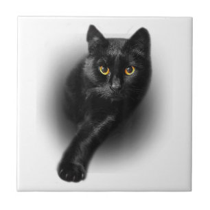 Black Cat Yellow Eyes T-Shirt Cats Tee Ceramic Tile