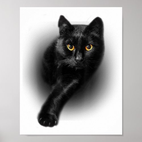 Black Cat Yellow Eyes T_Shirt Cats Tee Poster