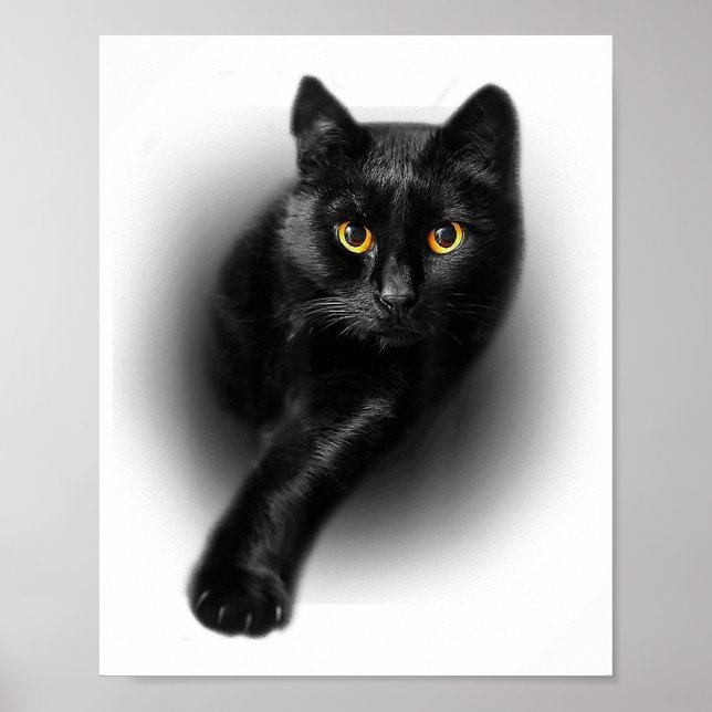 Black Cat Yellow Eyes T-Shirt Cats Tee Poster (Front)