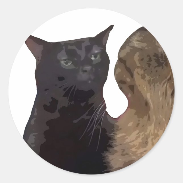Black Cat Zoning Out Classic Round Sticker (Front)