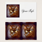 black cats (Front & Back)