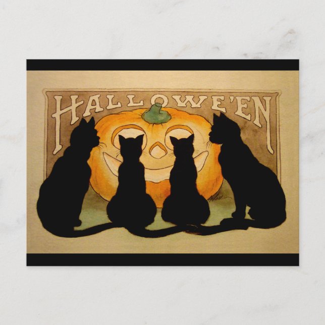 Black Cats and a Jack O'Lantern Postcard (Front)