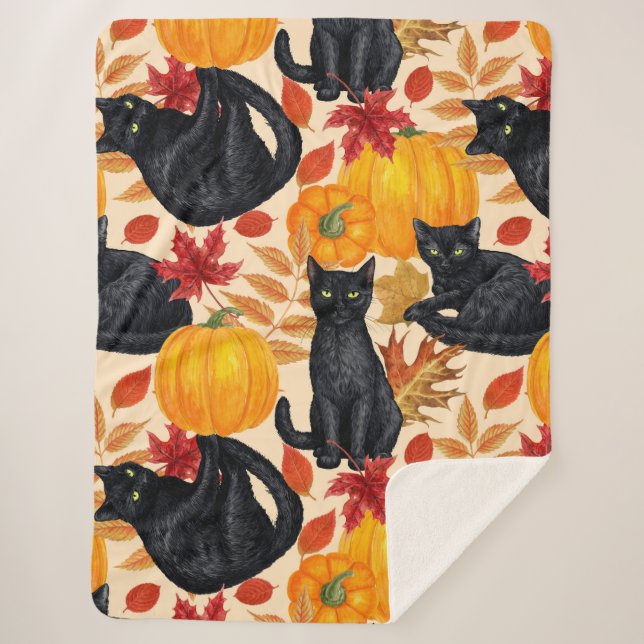 Black cats and pumpkins  sherpa blanket (Front)