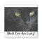 Black Cats Are Lucky! Magnet
