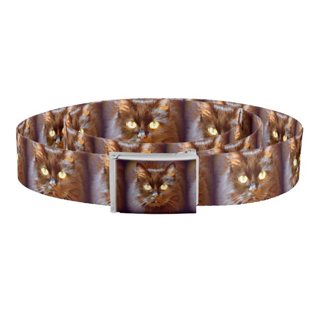 black cats belt (Coil)